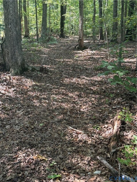Tiny photo for 2274 Barley Farms Ln, Powhatan, VA 23139 (MLS # 2620155)