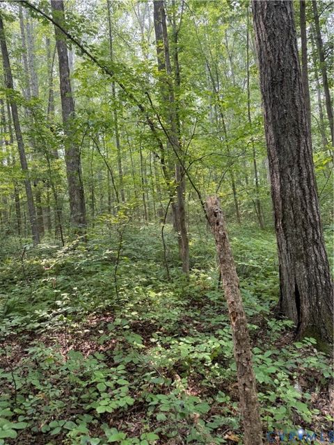 Tiny photo for 2274 Barley Farms Ln, Powhatan, VA 23139 (MLS # 2620155)