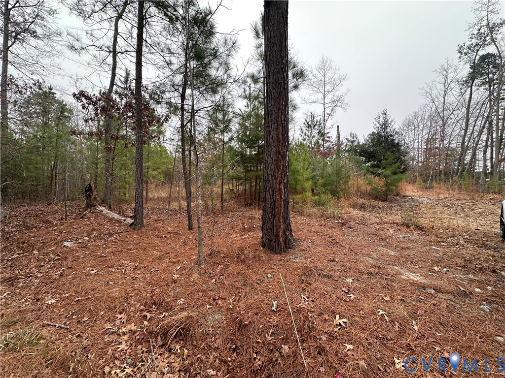 10121 Beaver Bridge Road