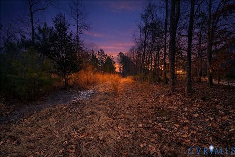 Photo of 10121 Beaver Bridge Road, Chesterfield, VA 23838 (MLS # 2600732)