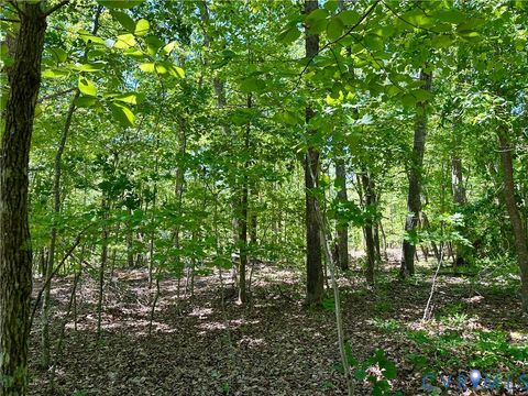 Photo of Lot 6 Buffalo Church Rd., Pamplin, VA 23958 (MLS # 2611743)