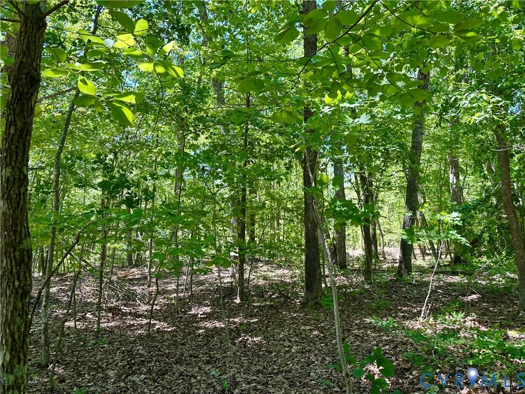 Lot 6 Buffalo Church Rd., Pamplin, VA, 23958