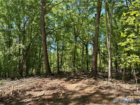 Tiny photo for Lot 6 Buffalo Church Rd., Pamplin, VA 23958 (MLS # 2611743)