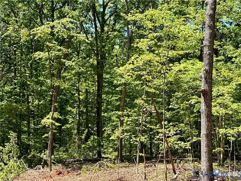 Tiny photo for Lot 6 Buffalo Church Rd., Pamplin, VA 23958 (MLS # 2611743)