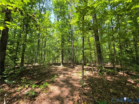 Tiny photo for 3818 Stage Junction Road, Columbia, VA 23038 (MLS # 2627217)