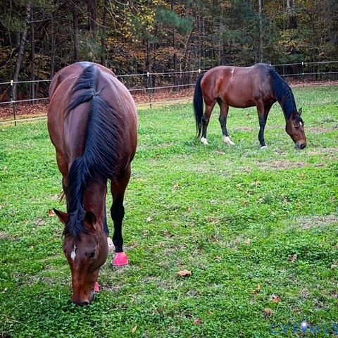 Tiny photo for 93 Faraway Road, Saluda, VA 23149 (MLS # 2612490)
