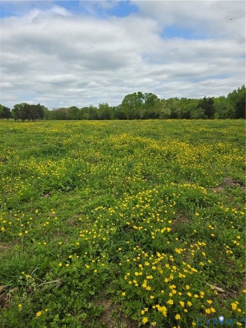 Tiny photo for 00 Perkinsville Lot 7 Road, Maidens, VA 23102 (MLS # 2528983)