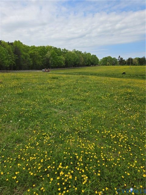 Tiny photo for 00 Perkinsville Lot 7 Road, Maidens, VA 23102 (MLS # 2528983)