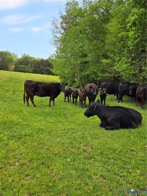 Tiny photo for 00 Perkinsville Lot 7 Road, Maidens, VA 23102 (MLS # 2528983)
