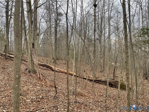 Tiny photo for XX Pembelton Drive, Amelia Courthouse, VA 23002 (MLS # 2606570)