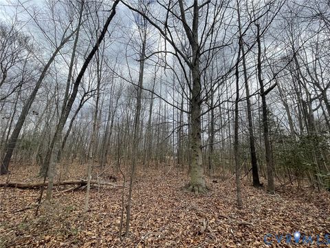 Tiny photo for XX Pembelton Drive, Amelia Courthouse, VA 23002 (MLS # 2606570)