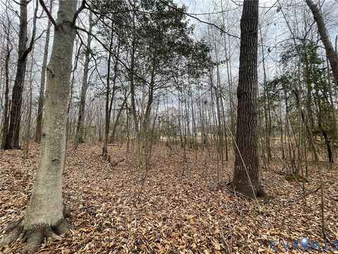 Tiny photo for XX Pembelton Drive, Amelia Courthouse, VA 23002 (MLS # 2606570)