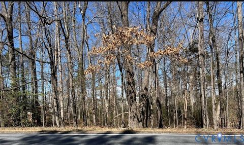 Photo of 0 Lewistown Road, Ashland, VA 23005 (MLS # 2533593)