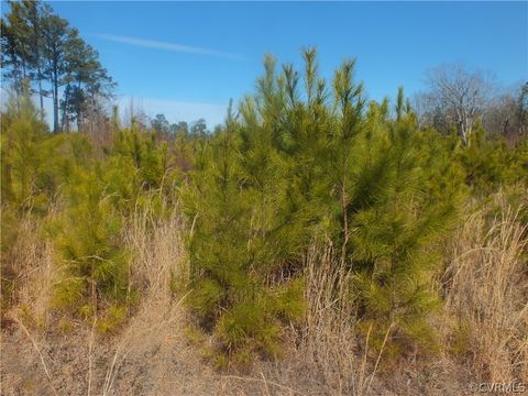 Tiny photo for 00 Spicely Road, Dinwiddie, VA 23850 (MLS # 2406670)