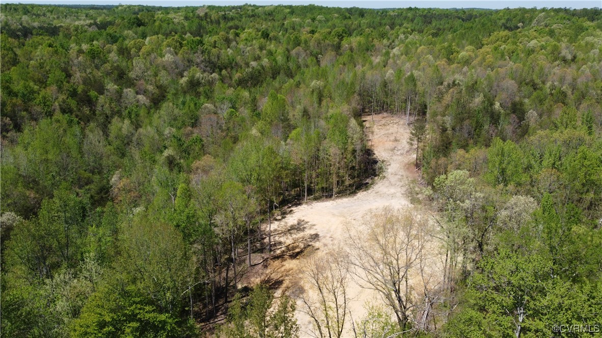 14.001 Acres Amelia Springs Road