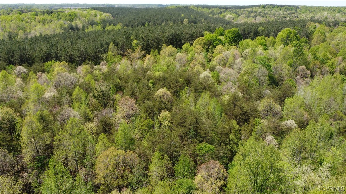 14.001 Acres Amelia Springs Road