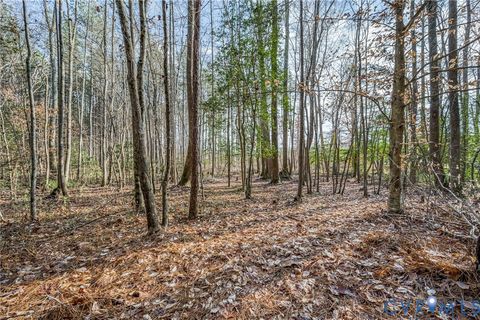 Tiny photo for 9419 Holdsworth Road, Disputanta, VA 23842 (MLS # 2532895)