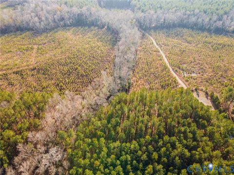 Tiny photo for 9419 Holdsworth Road, Disputanta, VA 23842 (MLS # 2532895)