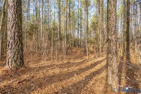 Tiny photo for 9419 Holdsworth Road, Disputanta, VA 23842 (MLS # 2532895)