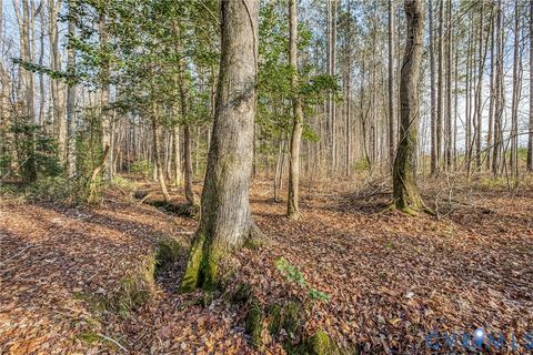 Tiny photo for 9419 Holdsworth Road, Disputanta, VA 23842 (MLS # 2532895)