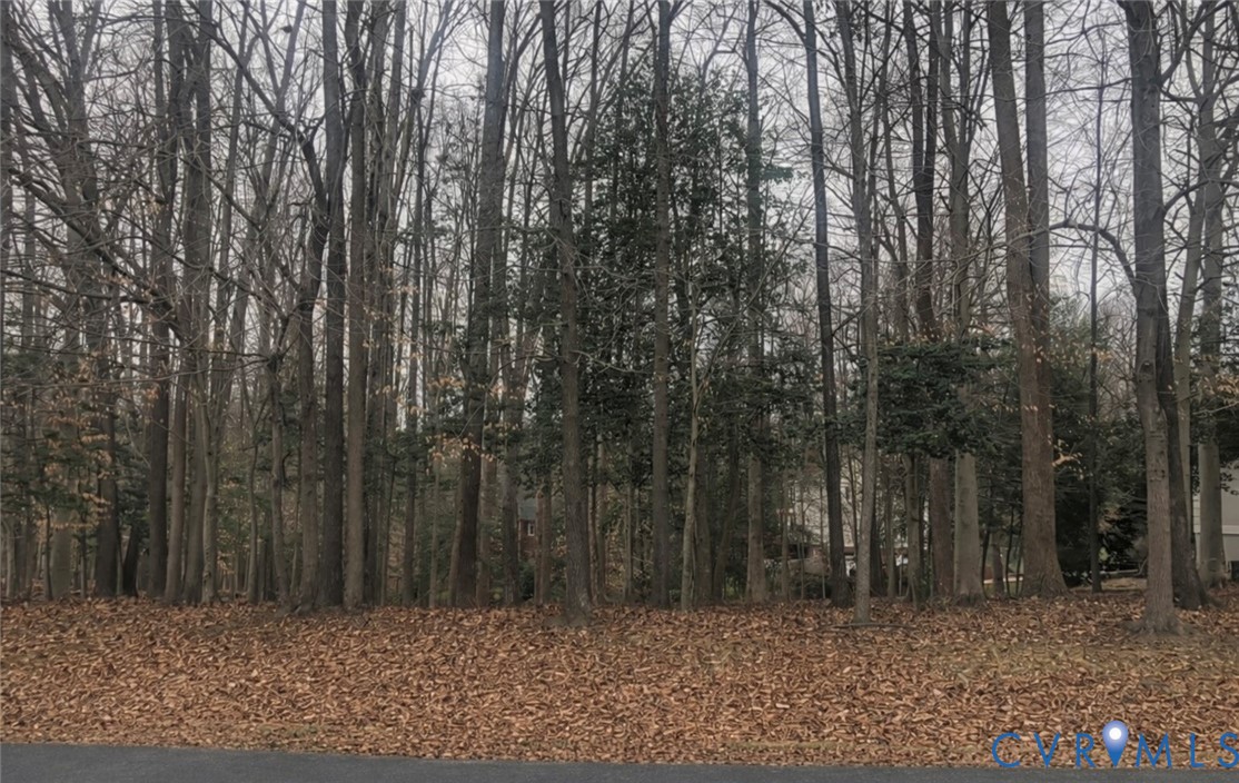 12704 Kelsey Pointe Court