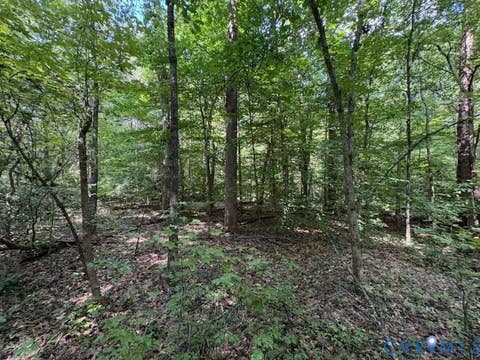 Tiny photo for 0 Roundabout Road, Louisa, VA 23093 (MLS # 2622776)