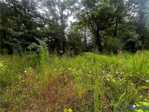 Tiny photo for 0 Mt Nebo Road, Barhamsville, VA 23011 (MLS # 2618729)