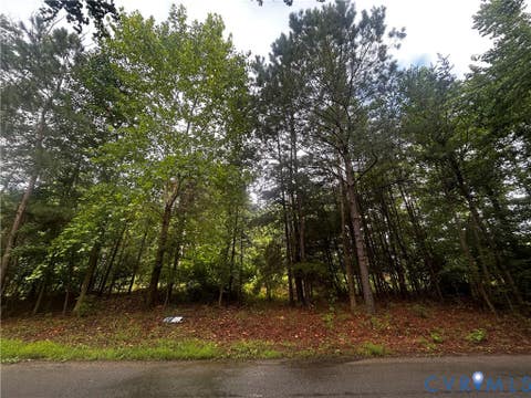 Tiny photo for 0 Mt Nebo Road, Barhamsville, VA 23011 (MLS # 2618729)