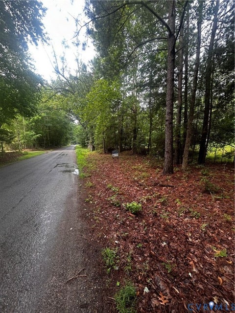 Tiny photo for 0 Mt Nebo Road, Barhamsville, VA 23011 (MLS # 2618729)