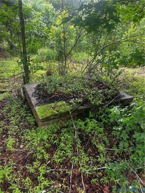 Tiny photo for 0 Mt Nebo Road, Barhamsville, VA 23011 (MLS # 2618729)