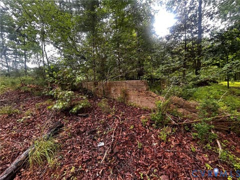 Tiny photo for 0 Mt Nebo Road, Barhamsville, VA 23011 (MLS # 2618729)