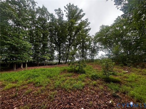 Photo of 0 Mt Nebo Road, Barhamsville, VA 23011 (MLS # 2618729)