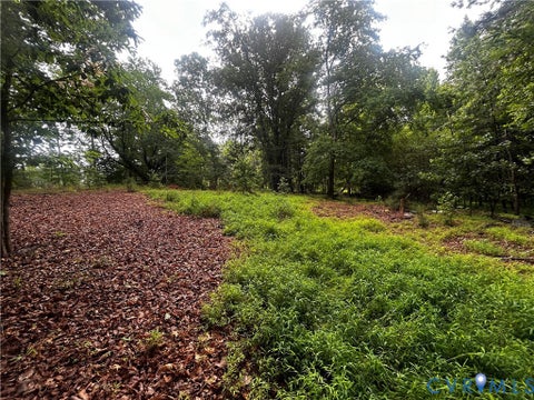 Tiny photo for 0 Mt Nebo Road, Barhamsville, VA 23011 (MLS # 2618729)