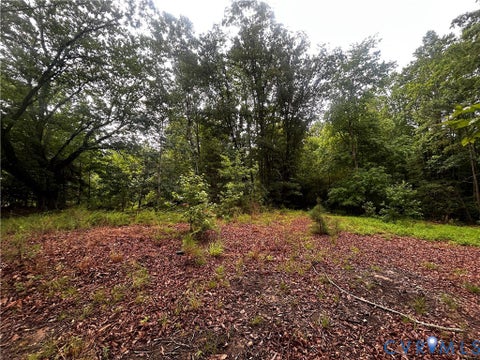 Tiny photo for 0 Mt Nebo Road, Barhamsville, VA 23011 (MLS # 2618729)