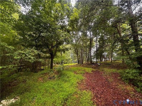 Tiny photo for 0 Mt Nebo Road, Barhamsville, VA 23011 (MLS # 2618729)