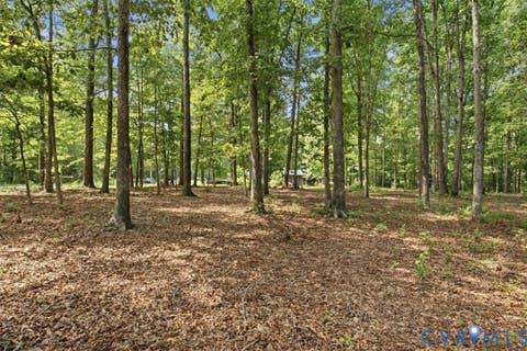 Tiny photo for 27 Garland Town Road, Mineral, VA 23117 (MLS # 2622168)