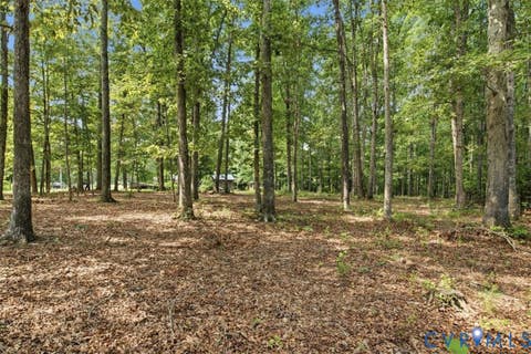 Tiny photo for 27 Garland Town Road, Mineral, VA 23117 (MLS # 2622168)