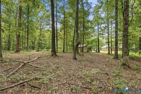 Tiny photo for 27 Garland Town Road, Mineral, VA 23117 (MLS # 2622168)
