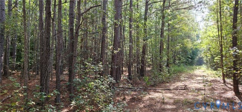 Photo of 0 Mahixon Road, Manquin, VA 23106 (MLS # 2627119)