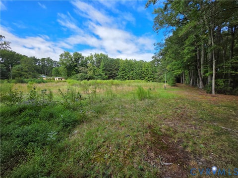 Tiny photo for 485 Around the Fence RD, Cobbs Creek, VA 23109 (MLS # 2626809)