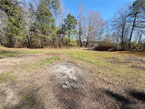 Tiny photo for 24217 Old Vaughan Road Rd, Dinwiddie, VA 23841 (MLS # 2507433)