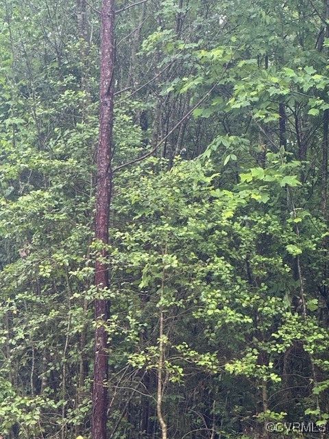 Tiny photo for 0 Macedonia Road, Greenville, VA 23847 (MLS # 2514344)