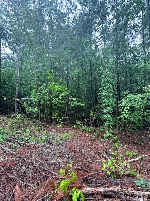 Tiny photo for 0 Macedonia Road, Greenville, VA 23847 (MLS # 2514344)
