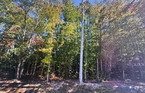Tiny photo for 0 Macedonia Road, Greenville, VA 23847 (MLS # 2514344)