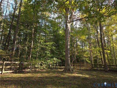 Tiny photo for 3350 North Road, Sandy Hook, VA 23153 (MLS # 2628612)