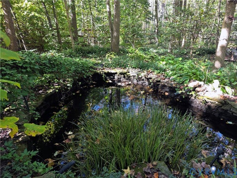 Tiny photo for 3350 North Road, Goochland, VA 23153 (MLS # 2628612)