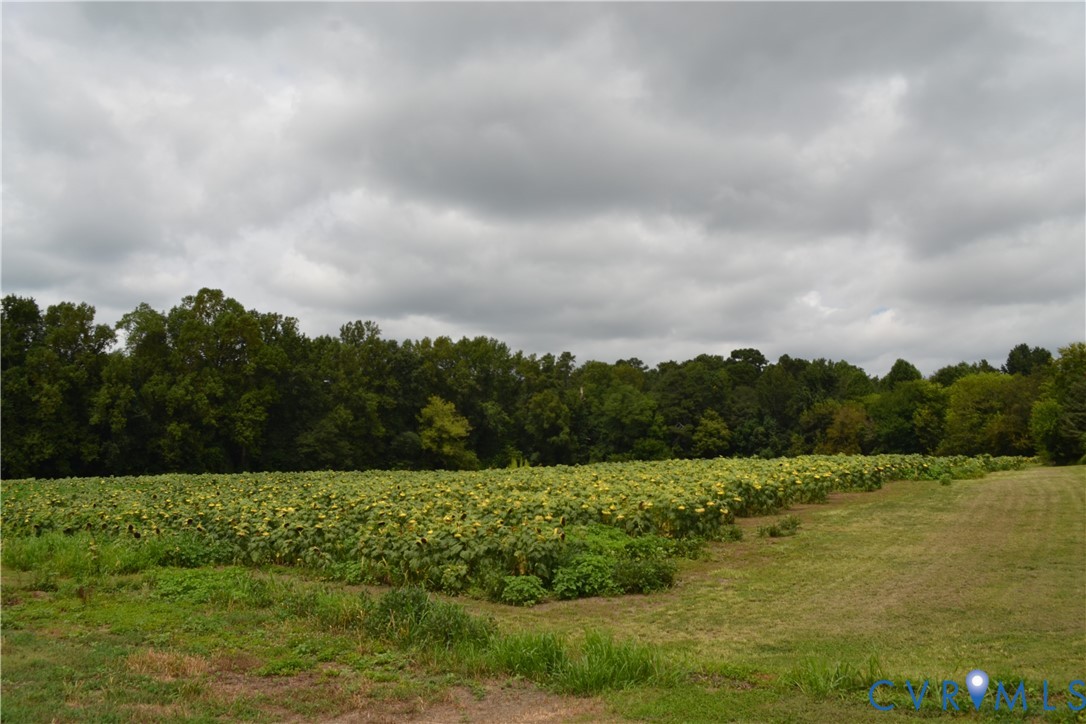 3622 Darbytown Court