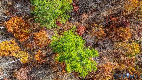 Tiny photo for 0 N James Madison Highway, Dillwyn, VA 23936 (MLS # 2531005)