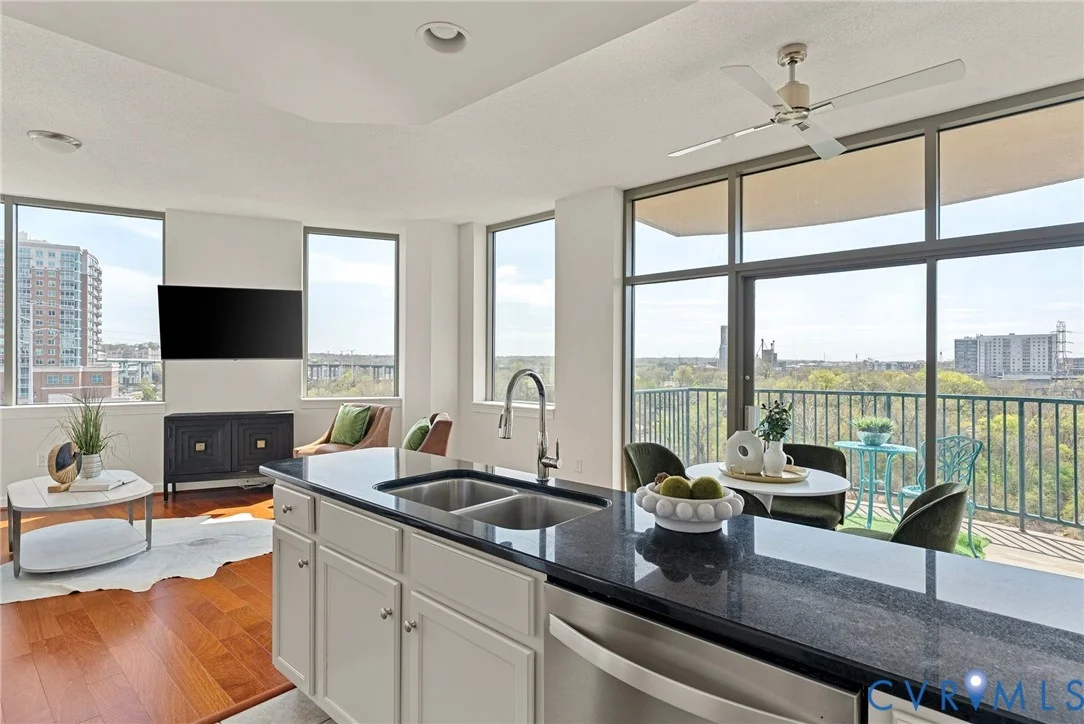 1101 Haxall Point Unit U514, Richmond, VA, 23219