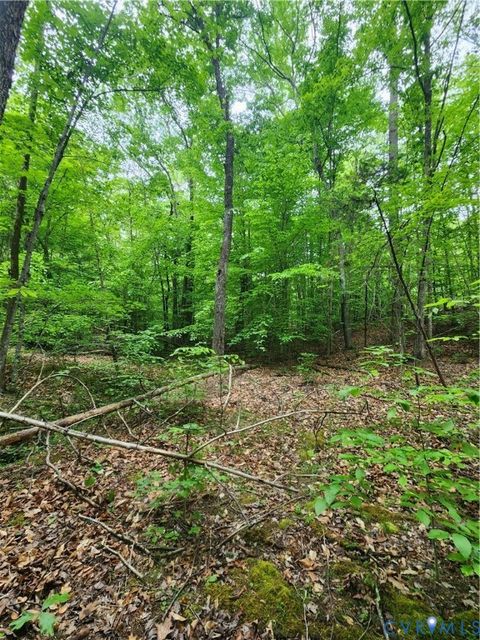 Tiny photo for 0 Bryants Ford Road, Fork Union, VA 23055 (MLS # 2611918)